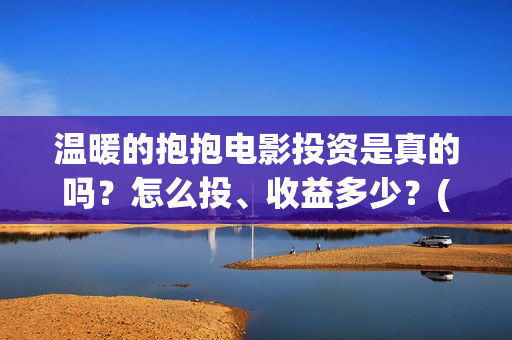 温暖的抱抱电影投资是真的吗？怎么投、收益多少？(温暖的抱抱这部电影)