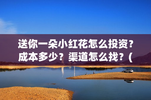 送你一朵小红花怎么投资？成本多少？渠道怎么找？(送你一朵小红花电影剧情介绍)