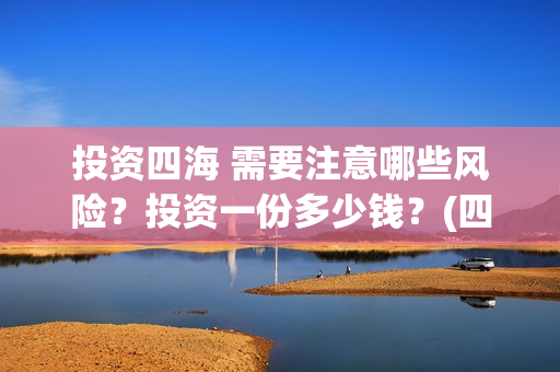 投资四海 需要注意哪些风险？投资一份多少钱？(四海的投资方)