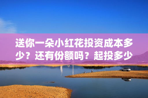 送你一朵小红花投资成本多少？还有份额吗？起投多少？(送你一朵小红花歌词)