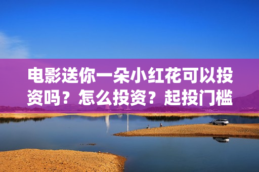 电影送你一朵小红花可以投资吗？怎么投资？起投门槛多少(电影送你一朵小红花完整版免费观看)