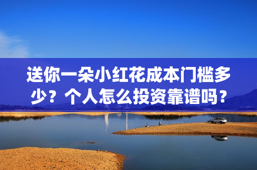 送你一朵小红花成本门槛多少？个人怎么投资靠谱吗？(送你一朵小红花歌词)
