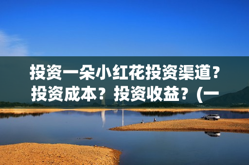 投资一朵小红花投资渠道？投资成本？投资收益？(一朵小红花公司)