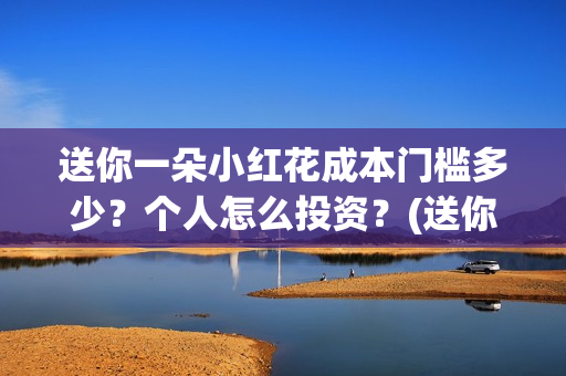 送你一朵小红花成本门槛多少？个人怎么投资？(送你一朵小红花结局)