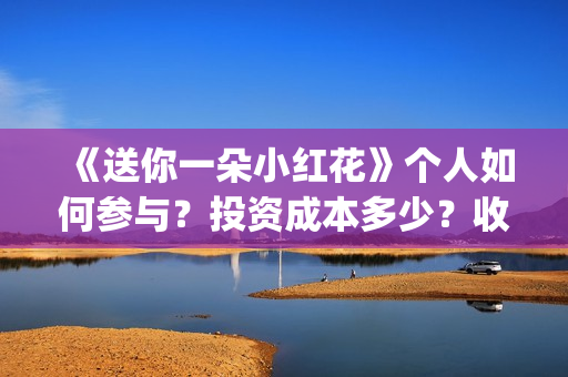 《送你一朵小红花》个人如何参与？投资成本多少？收益空间大吗？(送你一朵小红花简谱)