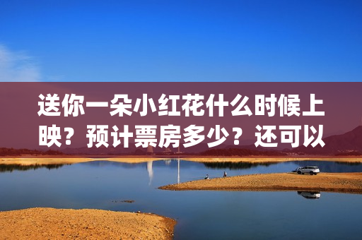送你一朵小红花什么时候上映？预计票房多少？还可以投资吗？(送你一朵小红花歌词)