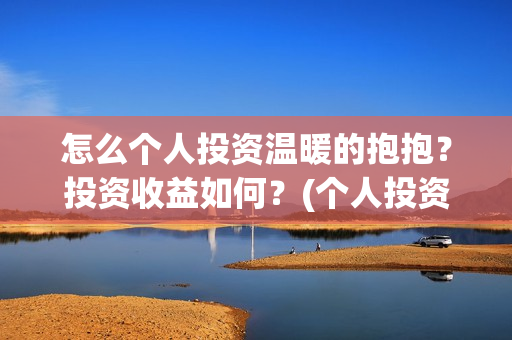 怎么个人投资温暖的抱抱？投资收益如何？(个人投资者怎么投资创业公司)