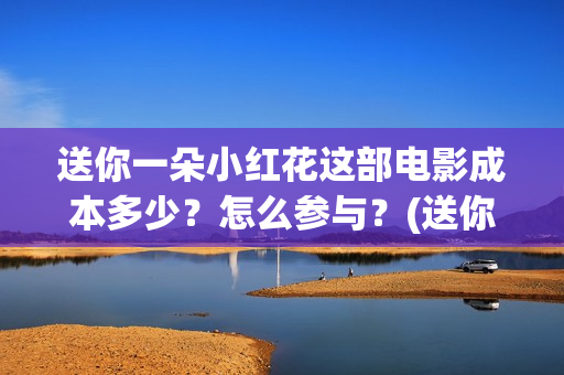 送你一朵小红花这部电影成本多少？怎么参与？(送你一朵小红花电影)
