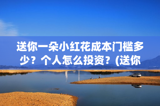 送你一朵小红花成本门槛多少？个人怎么投资？(送你一朵小红花简谱)