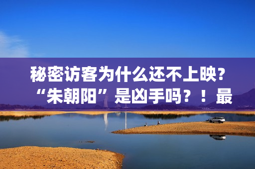 秘密访客为什么还不上映？“朱朝阳”是凶手吗？！最后的结局是怎样的？(秘密访客为什么要囚禁于困樵)