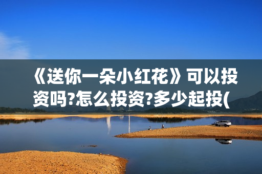 《送你一朵小红花》可以投资吗?怎么投资?多少起投(送你一朵小红花电影免费观看)
