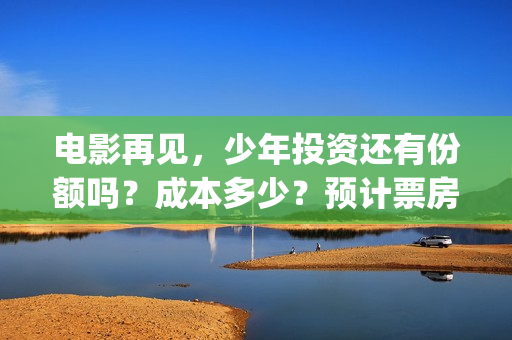 电影再见，少年投资还有份额吗？成本多少？预计票房？(电影再见少年票房)