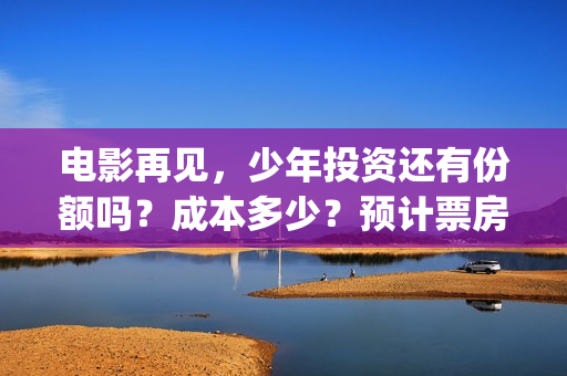 电影再见，少年投资还有份额吗？成本多少？预计票房？(电影再见少年剧情详细)