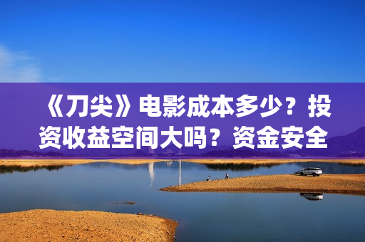 《刀尖》电影成本多少？投资收益空间大吗？资金安全吗？(刀尖 电影 2020)