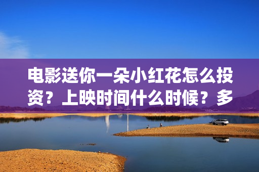 电影送你一朵小红花怎么投资？上映时间什么时候？多少起投？(电影送你一朵小红花豆瓣评分)