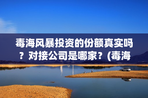 毒海风暴投资的份额真实吗？对接公司是哪家？(毒海风暴上映时间)