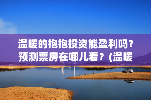温暖的抱抱投资能盈利吗？预测票房在哪儿看？(温暖的抱抱投资会血本无归吗)