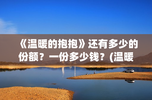 《温暖的抱抱》还有多少的份额？一份多少钱？(温暖的抱抱为什么禁了)