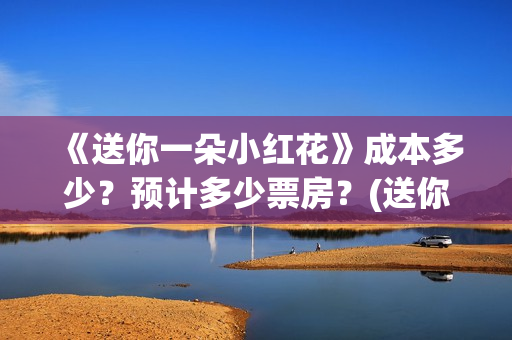 《送你一朵小红花》成本多少？预计多少票房？(送你一朵小红花电影免费观看)