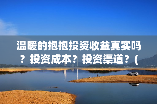 温暖的抱抱投资收益真实吗？投资成本？投资渠道？(温暖的抱抱 投资成本)