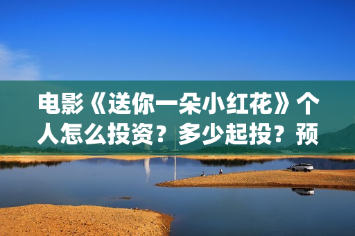 电影《送你一朵小红花》个人怎么投资？多少起投？预计收益多少？(电影《送你一朵小红花》)
