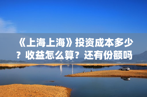 《上海上海》投资成本多少？收益怎么算？还有份额吗？(电影上海上海投资)