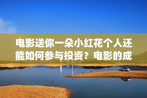 电影送你一朵小红花个人还能如何参与投资？电影的成本是多少？(电影送你一朵小红花完整版免费观看)