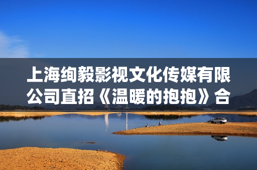 上海绚毅影视文化传媒有限公司直招《温暖的抱抱》合伙人(上海绚毅文化传媒)