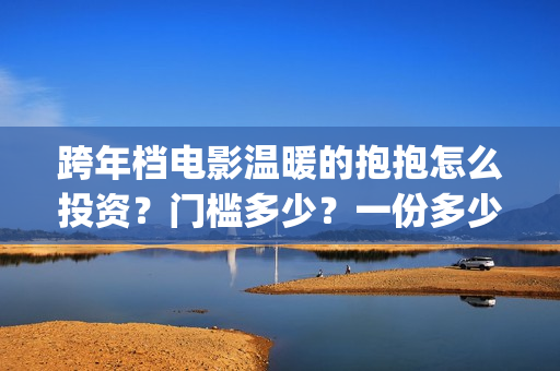 跨年档电影温暖的抱抱怎么投资？门槛多少？一份多少钱？(温暖电影排行榜前十名)