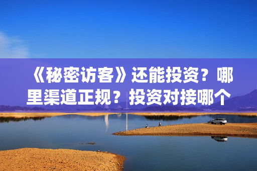 《秘密访客》还能投资？哪里渠道正规？投资对接哪个出品方？(秘密访客讲的什么鬼)