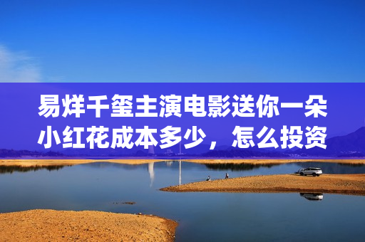 易烊千玺主演电影送你一朵小红花成本多少，怎么投资(易烊千玺主演电视剧)