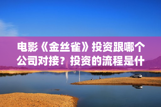 电影《金丝雀》投资跟哪个公司对接？投资的流程是什么？(金丝雀动画)