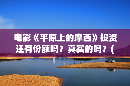 电影《平原上的摩西》投资还有份额吗？真实的吗？(电影平原上的火焰)