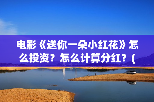 电影《送你一朵小红花》怎么投资？怎么计算分红？(电影送你一朵小红花剧情介绍)