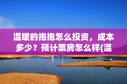 温暖的抱抱怎么投资，成本多少？预计票房怎么样(温暖的抱抱怎么画)