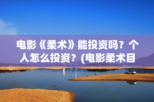 电影《柔术》能投资吗？个人怎么投资？(电影柔术目前票房)