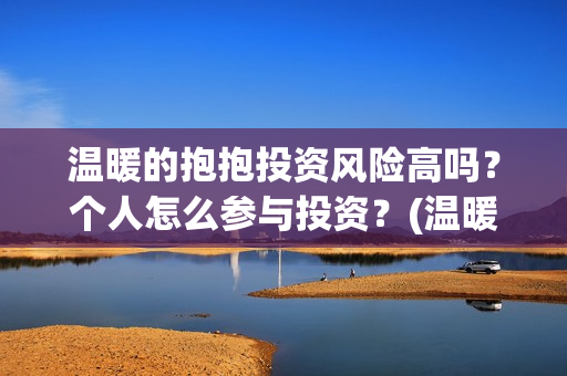 温暖的抱抱投资风险高吗？个人怎么参与投资？(温暖的抱抱投资收益)