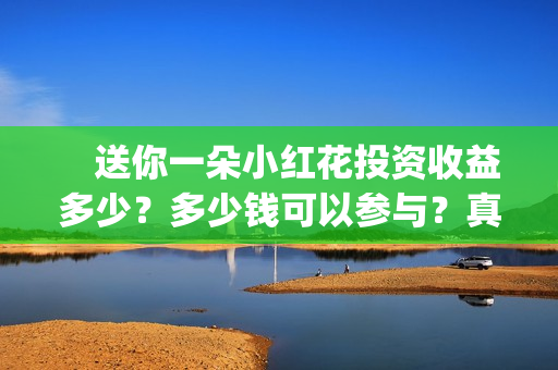 　送你一朵小红花投资收益多少？多少钱可以参与？真实成本多少？(送你一朵小红花电影免费观看)