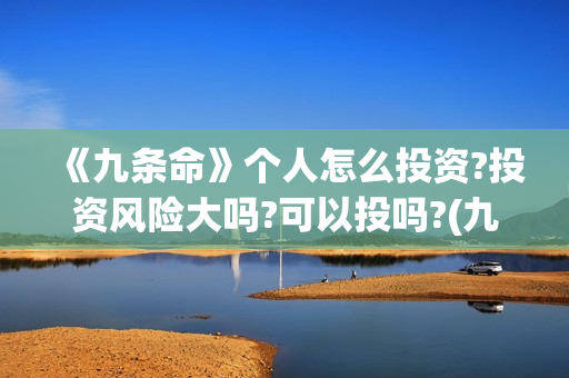 《九条命》个人怎么投资?投资风险大吗?可以投吗?(九条命简介)