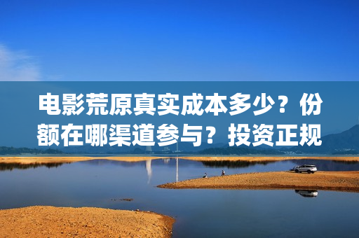 电影荒原真实成本多少？份额在哪渠道参与？投资正规吗？(荒原电影是哪个公司出品的)