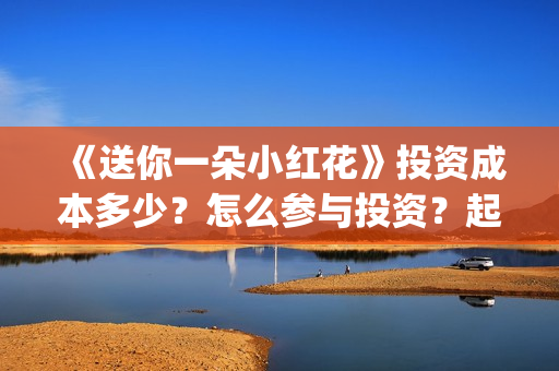 《送你一朵小红花》投资成本多少？怎么参与投资？起投多少？(送你一朵小红花电影)