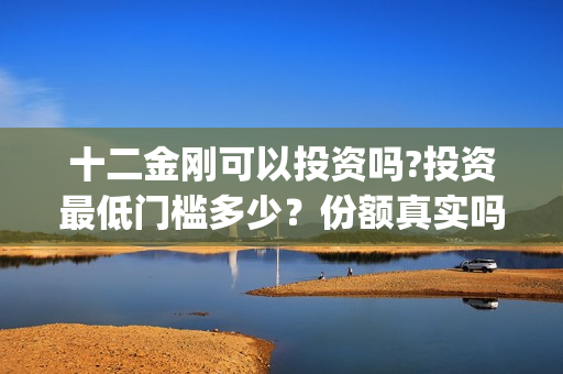 十二金刚可以投资吗?投资最低门槛多少？份额真实吗(十二金刚1)
