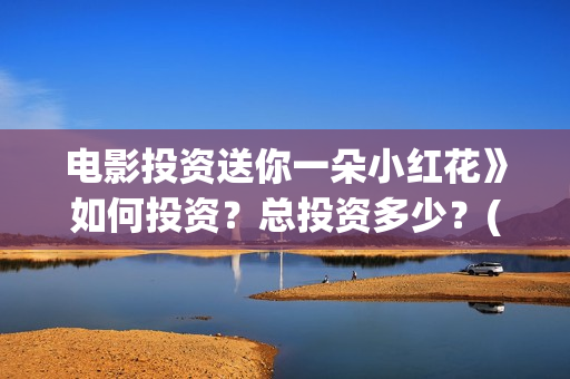 电影投资送你一朵小红花》如何投资？总投资多少？(电影投资独家揭秘)