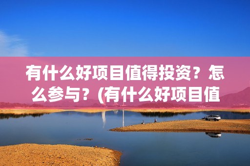 有什么好项目值得投资？怎么参与？(有什么好项目值得做)