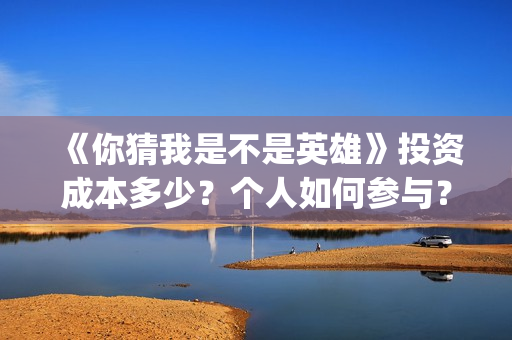 《你猜我是不是英雄》投资成本多少？个人如何参与？份额真实吗？(你猜我是不是英雄演员表)
