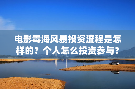 电影毒海风暴投资流程是怎样的？个人怎么投资参与？(毒海风暴上映时间)