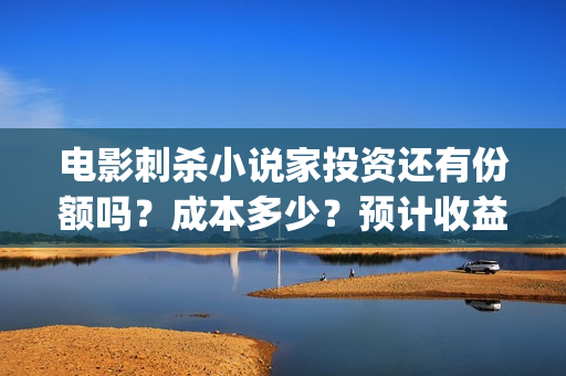 电影刺杀小说家投资还有份额吗？成本多少？预计收益？(电影刺杀小说家2免费观看完整版高清)