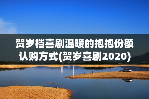 贺岁档喜剧温暖的抱抱份额认购方式(贺岁喜剧2020)