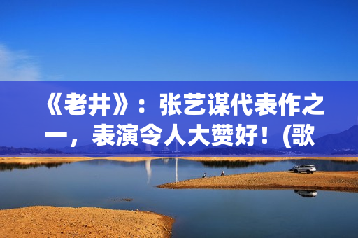 《老井》:张艺谋代表作之一,表演令人大赞好!(歌曲 老井) 《老井》:张艺谋代表作之一,表演令人大赞好!(歌曲 老井)