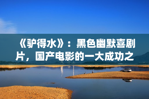 《驴得水》：黑色幽默喜剧片，国产电影的一大成功之作！(驴得水背后深层含义)